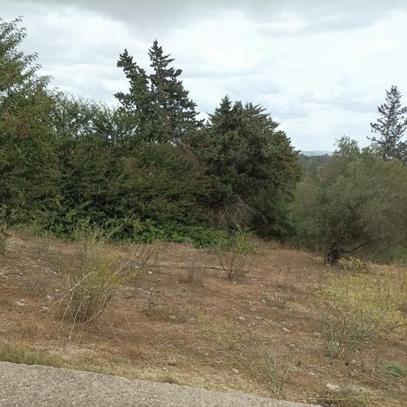 25SOL00985_fachada_20250828171206306.jpg