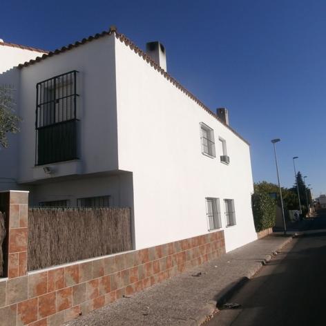 PINSAPO 19