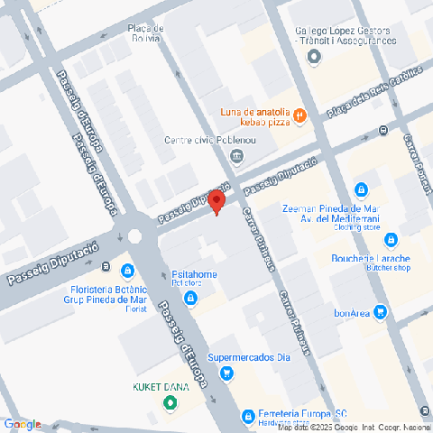 25VIV07907_mapa.png