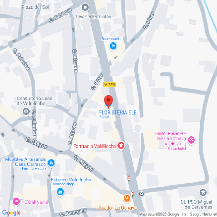 25VIV07911_mapa.png