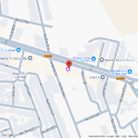 25VIV09419_mapa.png
