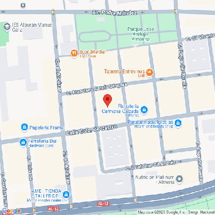 25VIV09907_mapa.png