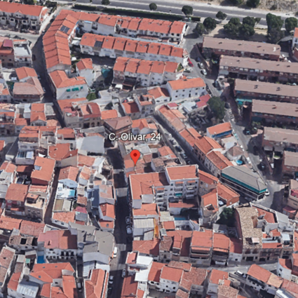OLIVAR 24