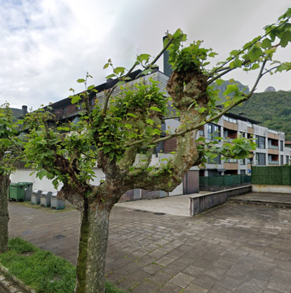 25VIV10021_fachada_20250626124728069.png