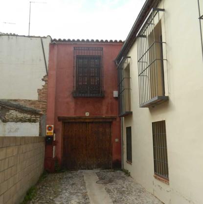 SAN BERNARDO 12