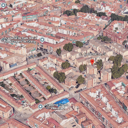 CALAMOCHA 5