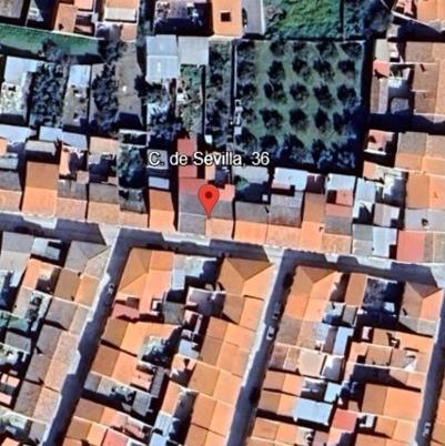 SEVILLA  36