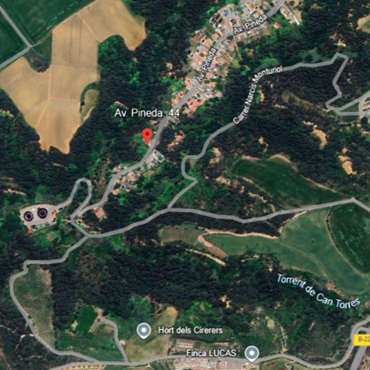 PINEDA (MASET) 44