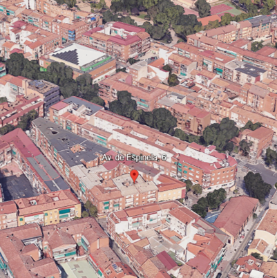 ESPINELA 6