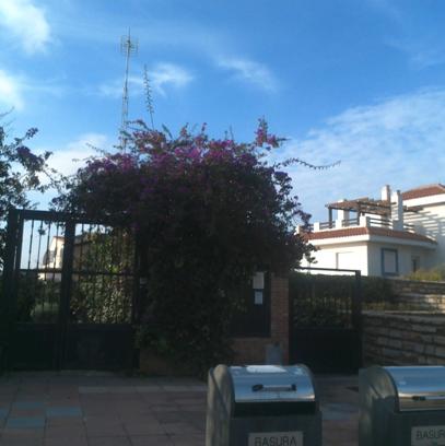 25VIV12465_fachada_20250728103014178.jpeg