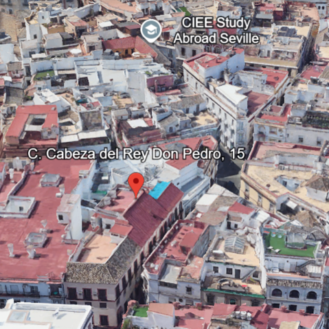 CABEZA DEL REY DON PEDRO 15