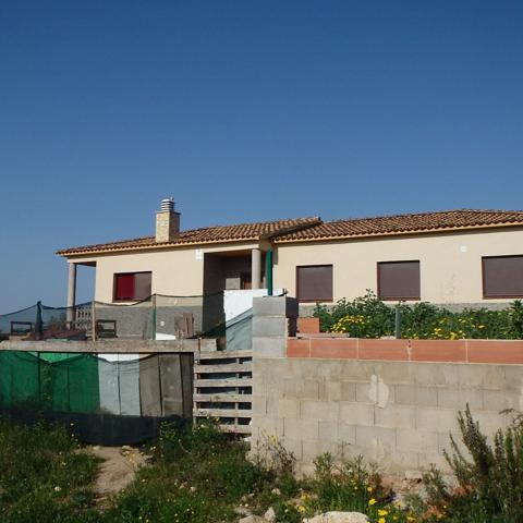 DALIA 58