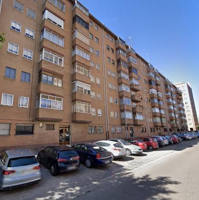 GAVILLA 8