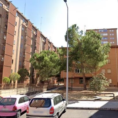 GAVILLA 8