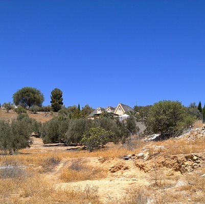 25VIV14840_fachada_20250929104752638.jpg