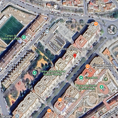 PINTOR PASTOR CALPENA 8