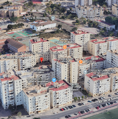 PLACIDO FERNANDEZ VIAGAS 2