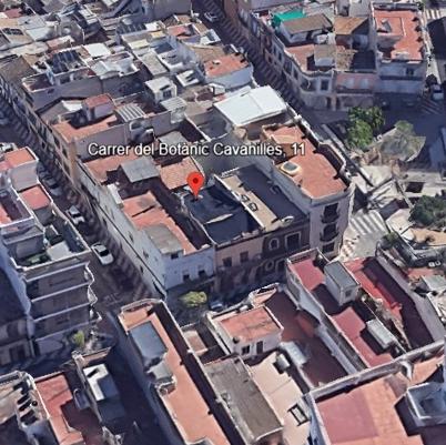 BOTANIC CAVANILLES 11