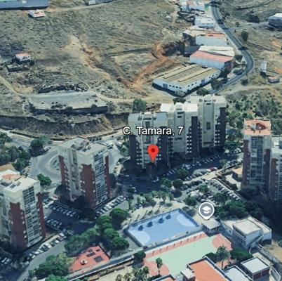 TAMARA 7