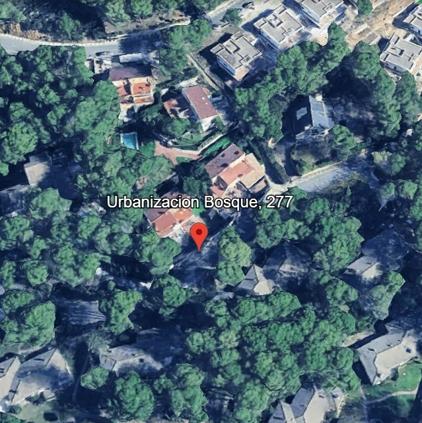BOSQUE U12 277