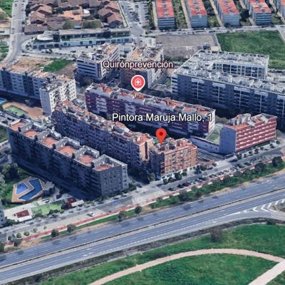 PINTORA MARUJA MALLO 1