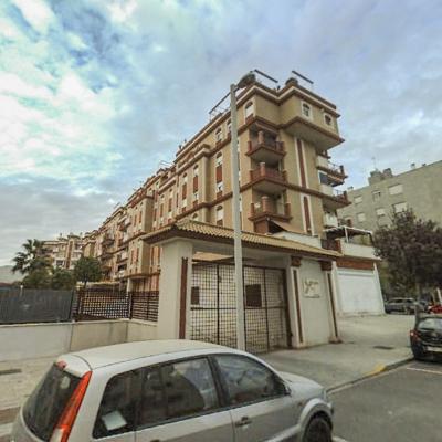 PINTORA MARUJA MALLO 1