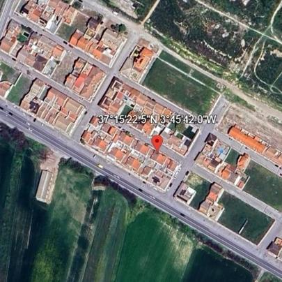 PINTOR DE LA ROSA 25