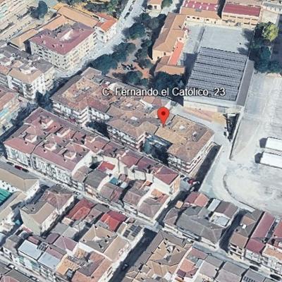 FERNANDO EL CATOLICO 23