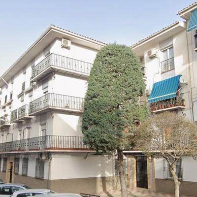 FERNANDO EL CATOLICO 23