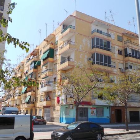 DIPUTADO JOSÉ LUIS BARCELÓ 12