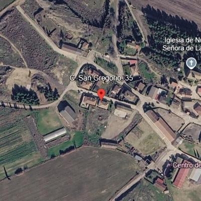 SAN GREGORIO 35