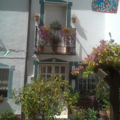 POZUELO 2