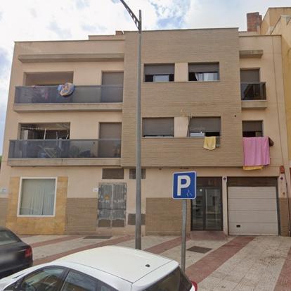 LAS PALMERAS 1