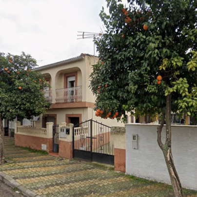 CAÑADA REAL SORIANA 66