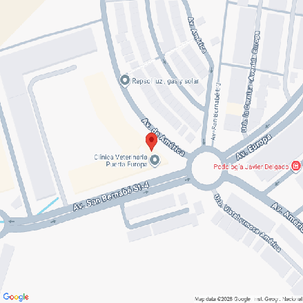 26VIV07909_mapa.png