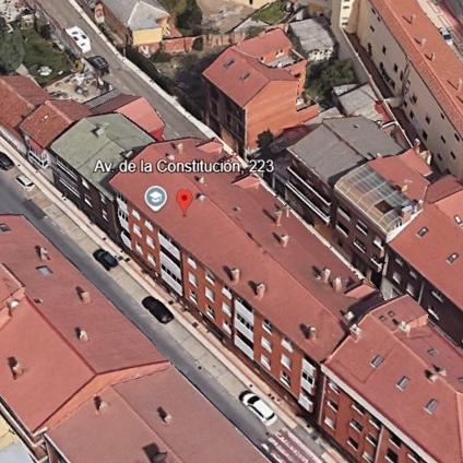 CONSTITUCION 223