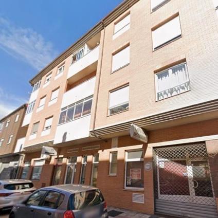 CONSTITUCION 223
