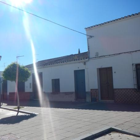 FERIA 15