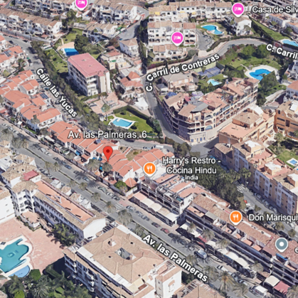 LAS PALMERAS 6