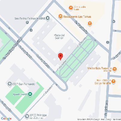 26VIV11483_mapa.png
